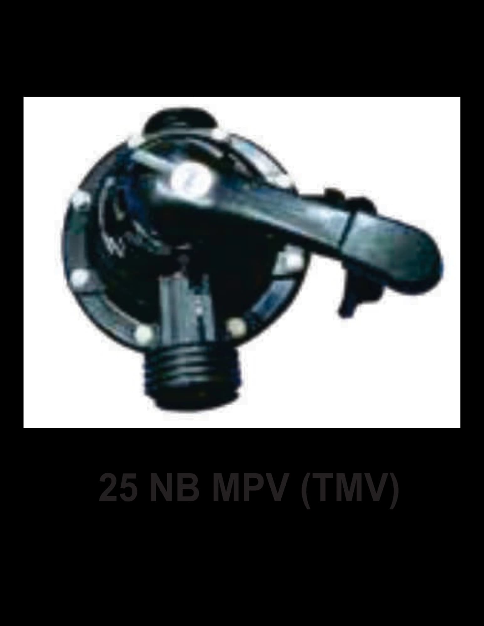25 NB MPV (TMV)